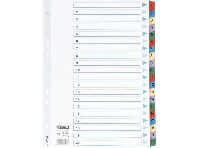 Kartongregister Esselte med Plastflikar Mylar 1 - 20 A4 extra bild 1