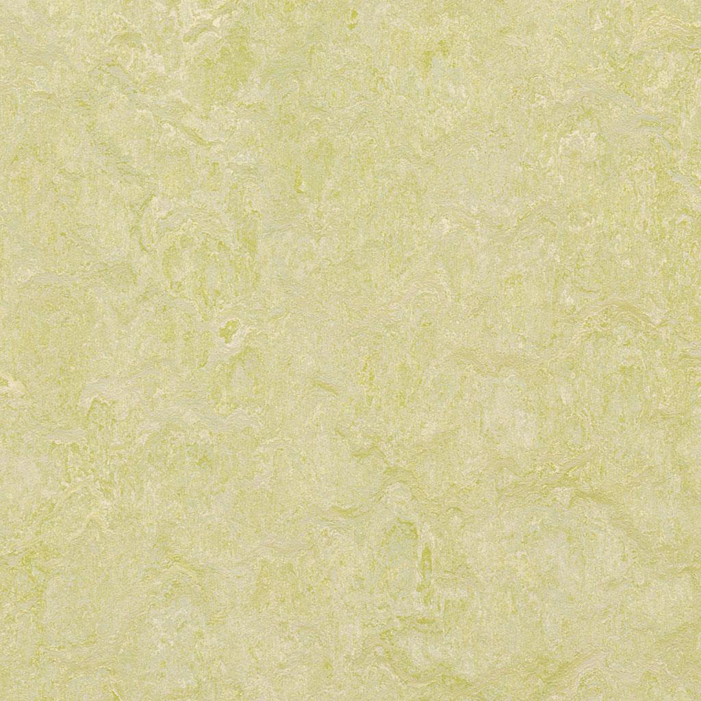 Linoleumgolv Forbo Marmoleum Real 2mm 3881 Green Wellness 200cm