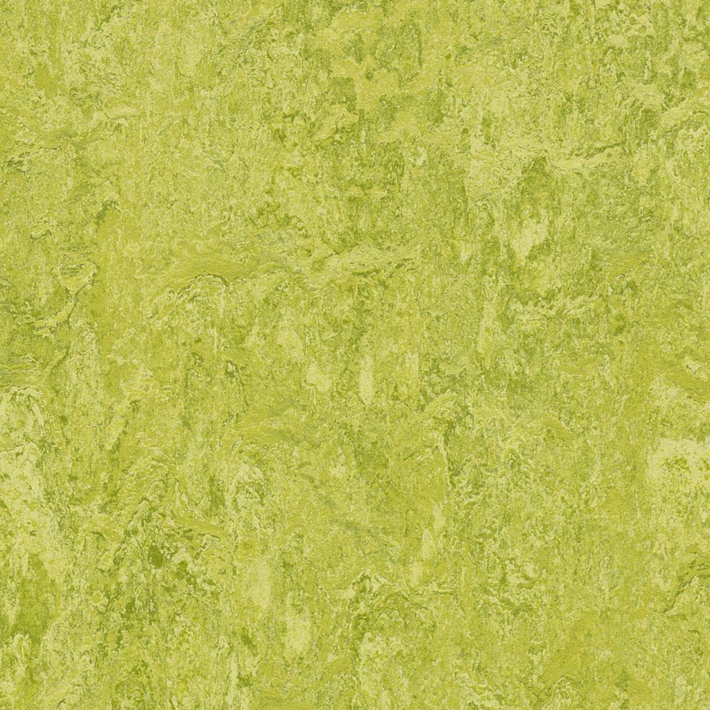 Linoleumgolv Forbo Marmoleum Real 2.5mm 3224 Chartreuse 200cm