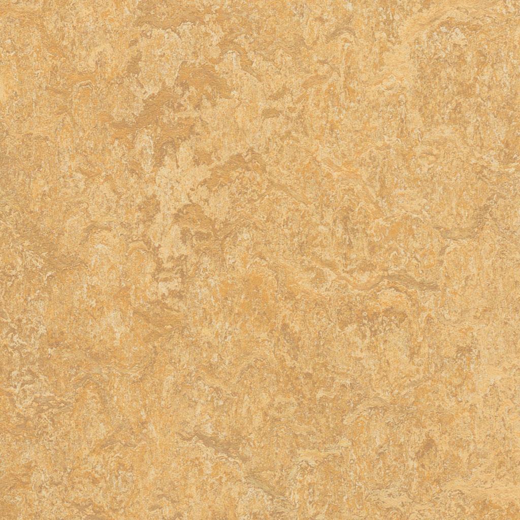 Linoleumgolv Forbo Marmoleum Real 2mm 3173 Van Gogh 200cm