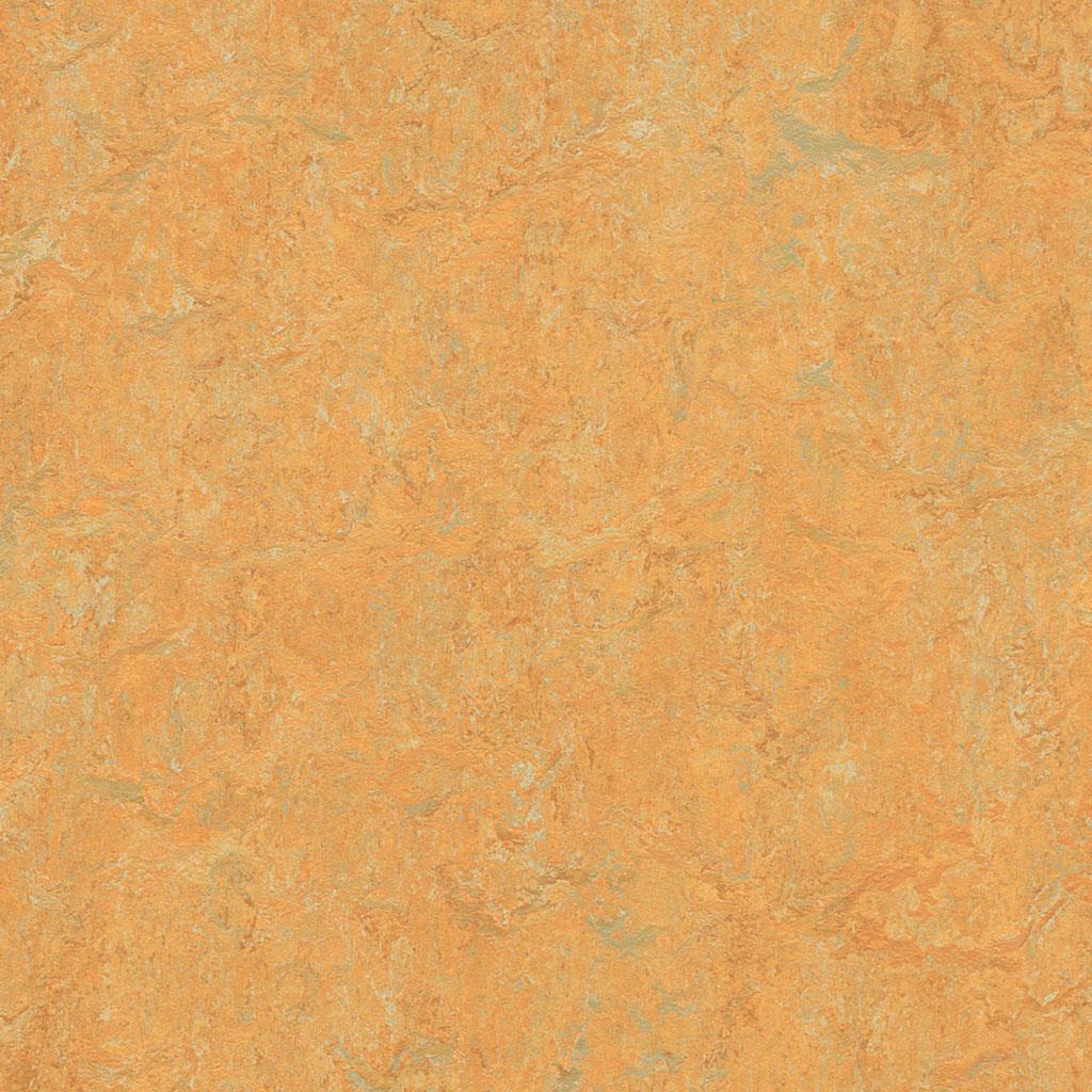 Linoleumgolv Forbo Marmoleum Real 2.5mm 3847 Golden Saffron 200cm