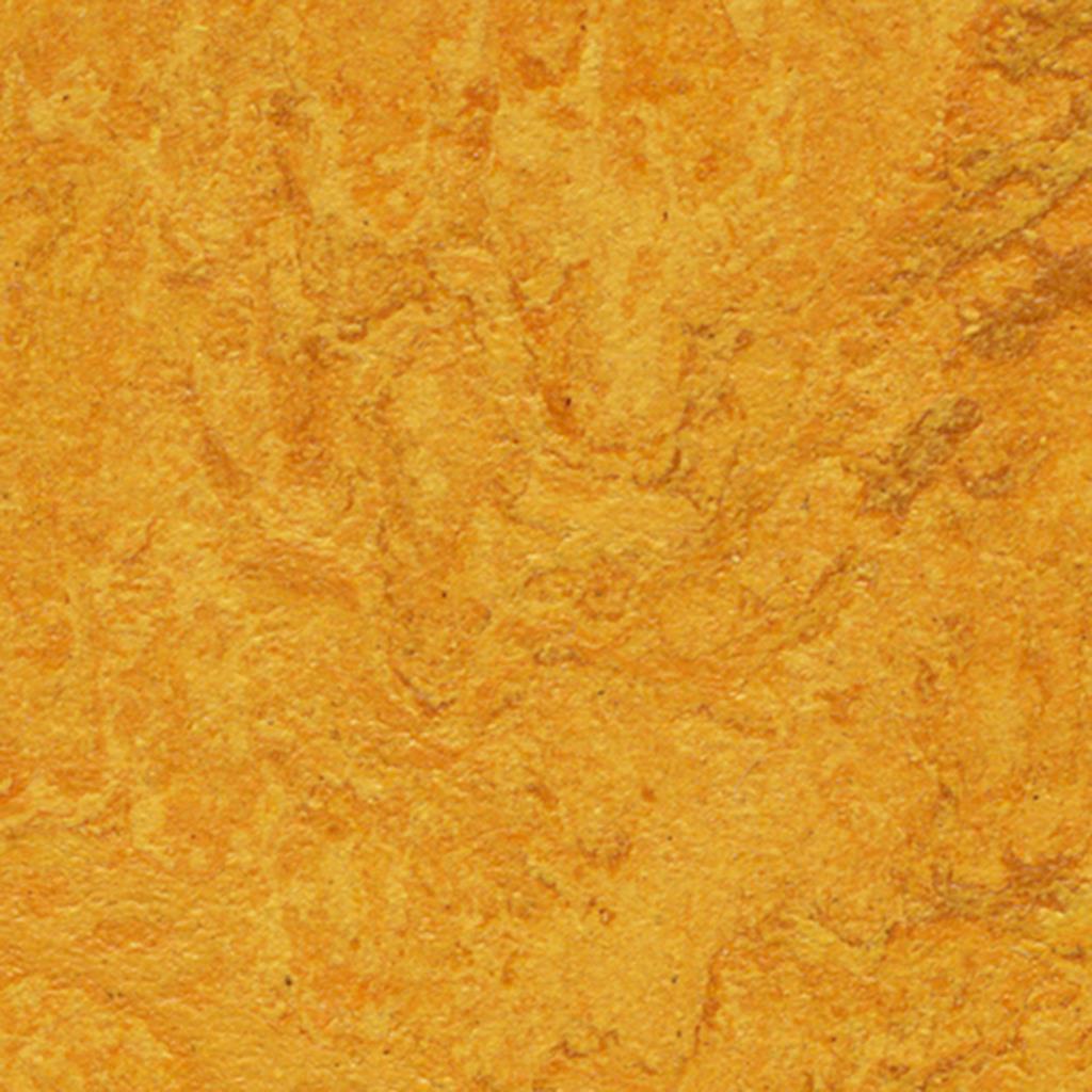 Linoleumgolv Forbo Marmoleum Fresco 2mm 3125 Golden Sunset 200cm