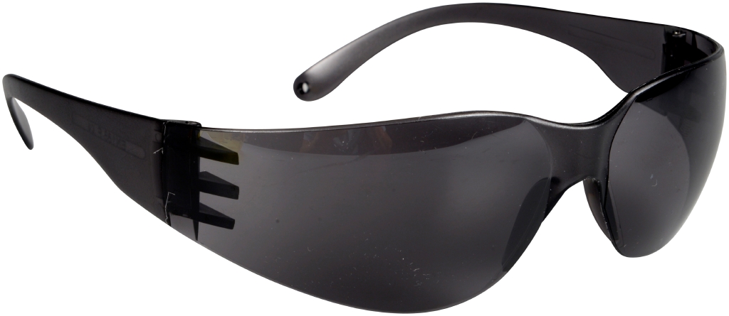 Skyddsglasögon InSafe Mörk Lins