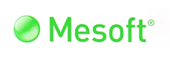 Mesoft