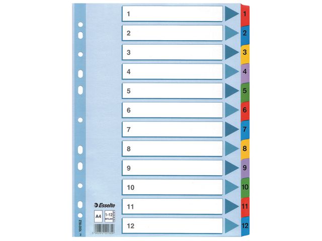 Kartongregister Esselte med Plastflikar Mylar 1-12 A4