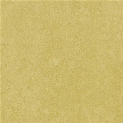 Linoleumgolv Forbo Marmoleum Fresco 2.5mm 3259 Mustard 200cm