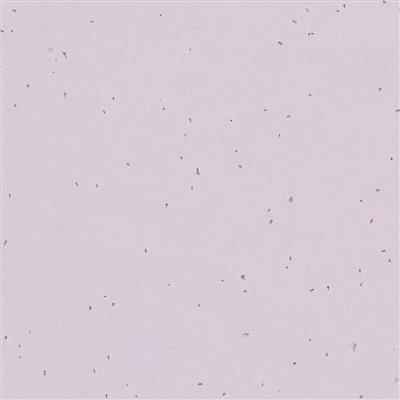 Vinylgolv Forbo Homogen Sphera Energetic 50234 Lilac 200cm