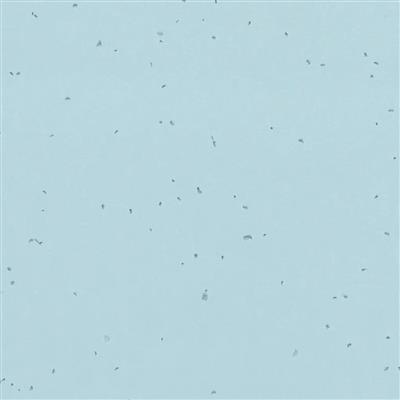 Vinylgolv Forbo Homogen Sphera Energetic 50239 Ice 200cm