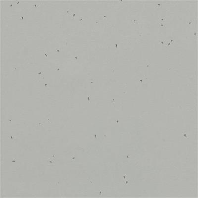 Vinylgolv Forbo Homogen Sphera Energetic 50202 Concrete 200cm