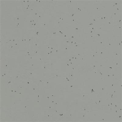 Vinylgolv Forbo Homogen Sphera Energetic 50216 Pigeon 200cm