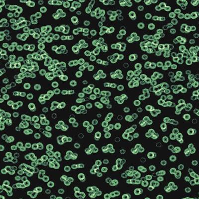 Textilgolv Forbo Flotex Sottsass 990102 Bacteria 200cm