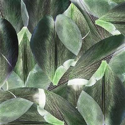 Textilgolv Forbo Flotex Floral 001589F Tulip Field Green 200cm
