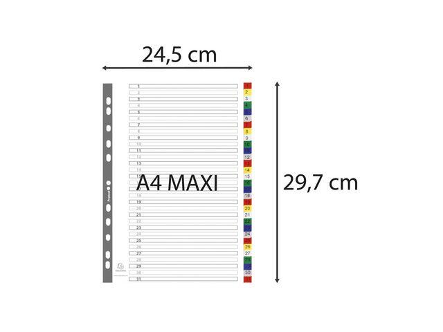 Plastregister Exacompta PP Färger A4+ 1-31