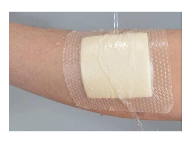 Skumförband Evercare Luofucon Silikon Border Skumförband Evercare Luofucon Silikon Border