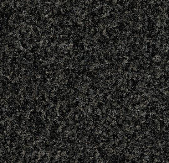 Entregolv Forbo Coral Brush 5721 Hurricane Grey Edge 200cm