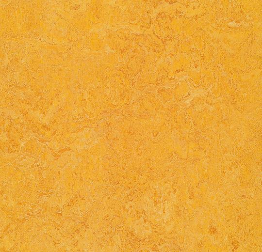 Linoleumgolv Forbo Marmoleum Decibel 322535 Dandelion 200cm
