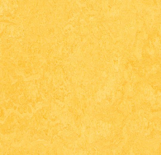 Linoleumgolv Forbo Marmoleum Click 333251 Lemon Zest 30x30cm