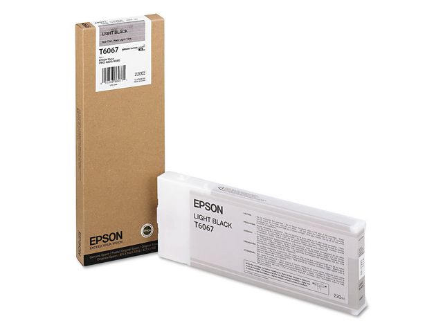 Bläckpatroner Epson C13T606700 Ljus Svart