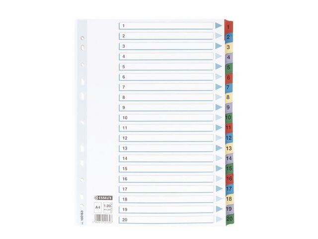 Kartongregister Esselte med Plastflikar Mylar 1 - 20 A4