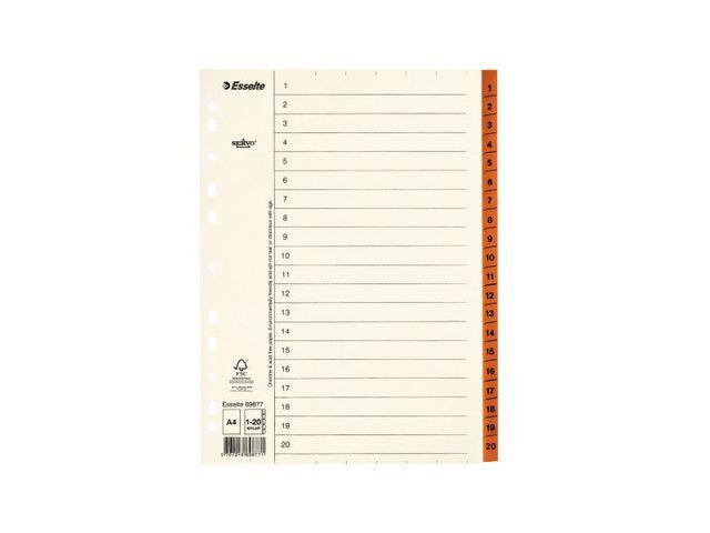 Pappregister Esselte Servo 1-20 Brun A4