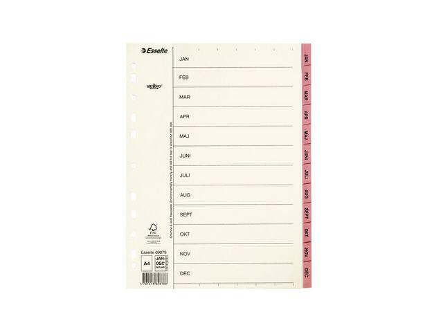 Pappregister Esselte Servo Jan-dec Rosa A4