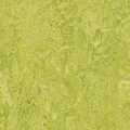 Linoleumgolv Forbo Marmoleum 2.0 Chartreuse 3224