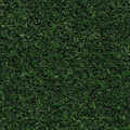 Entregolv Forbo Coral Brush 5708 Avocado Green Kapad