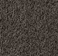 Entregolv Forbo Coral Brush 5714 Shark Grey Kapad