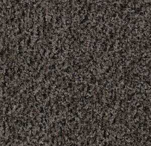 Entregolv Forbo Coral Brush 5714 Shark Grey Kapad