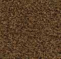 Entregolv Forbo Coral Brush 5716 Masala Brown Kapad