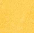 Linoleumgolv Forbo Marmoleum Click 333251 Lemon Zest 30x30cm