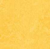 Linoleumgolv
