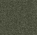 Entregolv Forbo Coral Classic 4758 Olive