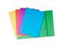 Mapp Exacompta 2-klaff Sorterade A4 280g